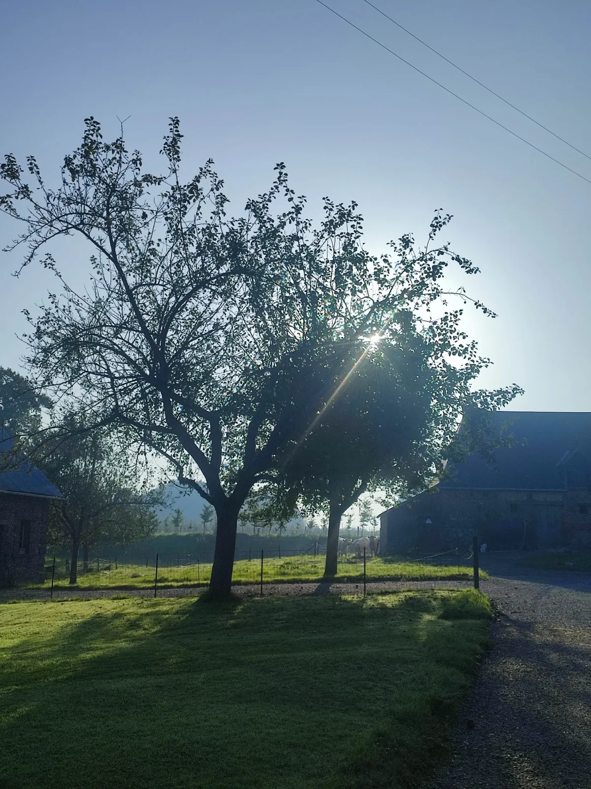 La Mare aux Pommes — cidrerie du Pays de Caux, Normandie